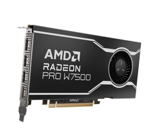 SCHEDA VIDEO RADEON PRO W7500 8 GB DDR6 (100-300000078)